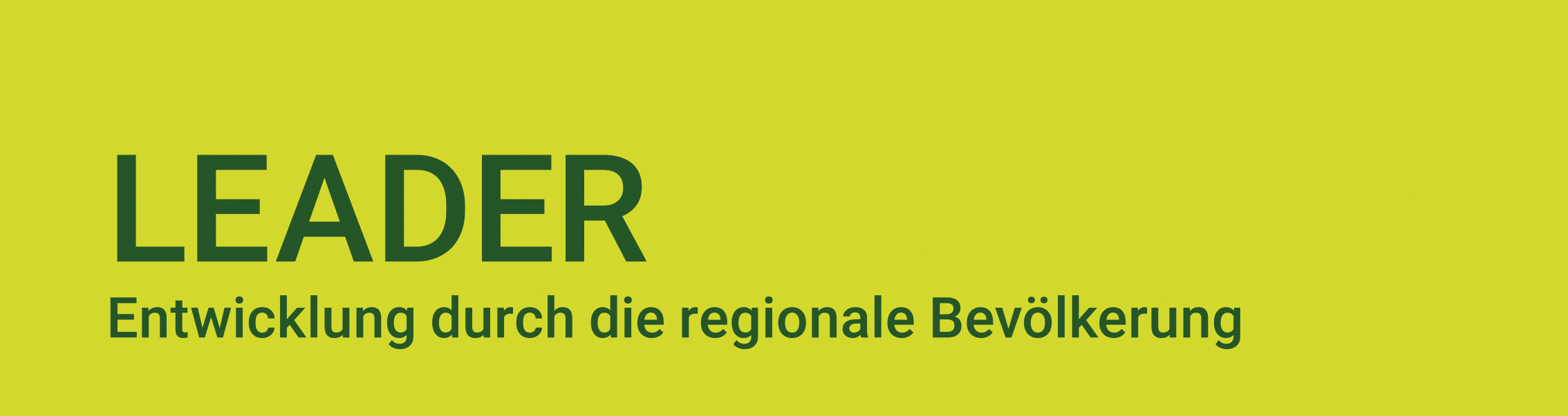LEADER_Logo_Feld_hellgruen_DE_2024